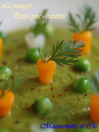 le_potager___petits_pois_carottes_9