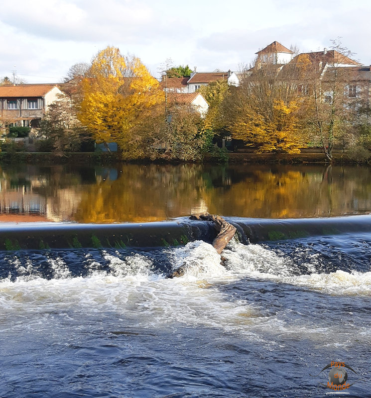 Bord de Vienne automne