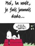 dodo_fin_bon