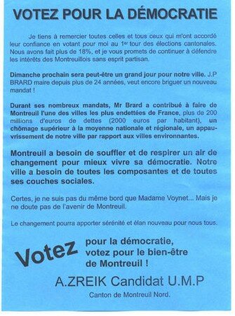 UMP_vote_Voynet