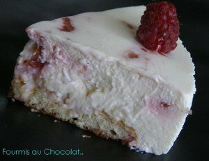 Mousse_cheesecake_lychee_framboises_010