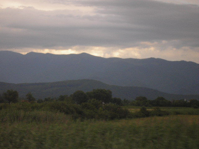P7130238