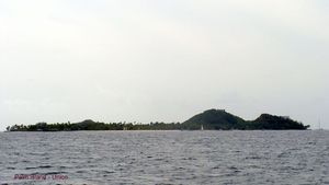 Palm Island - Union