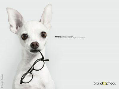 grandoptical_lunettes_pub_1