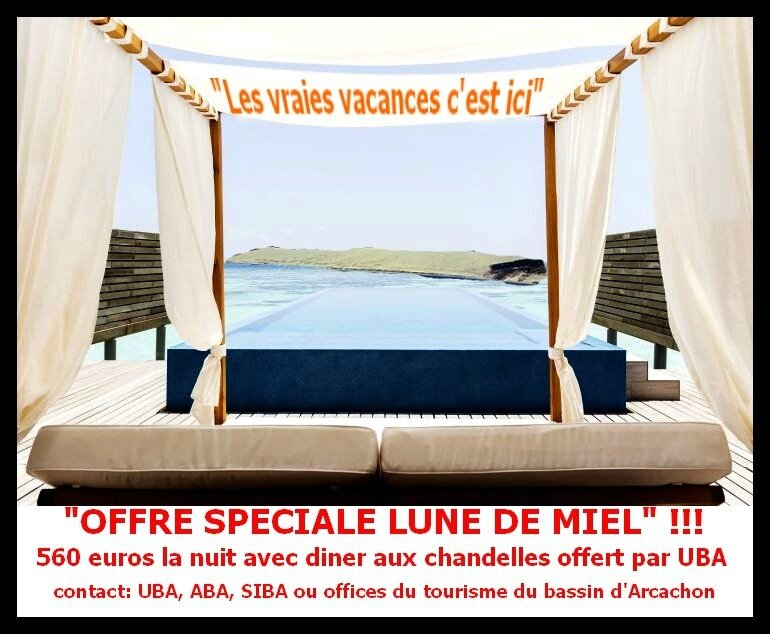 Sans titre 2