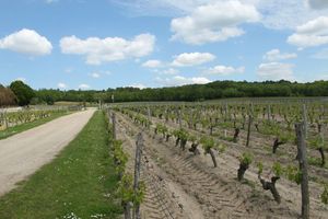 chinon, st-nicolas,12 mai 2012 027