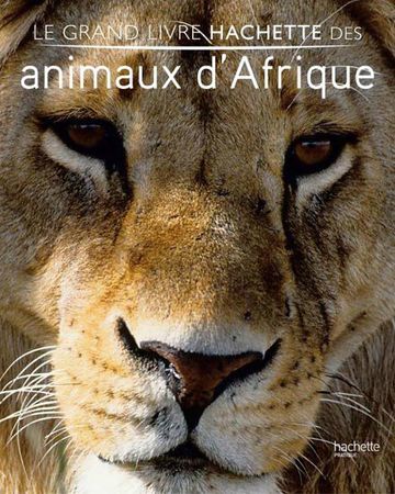 9782012377271-grand-livre-hachette-animaux-afrique_g