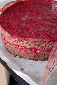 entremets_6