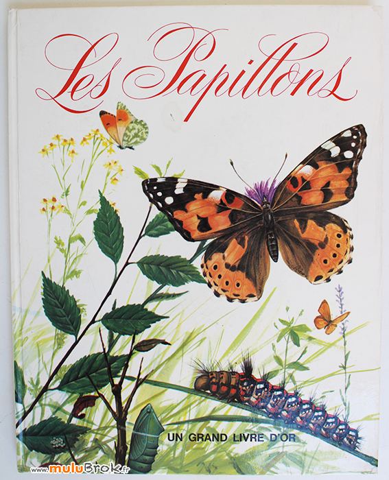 LES-PAPILLONS-1-grand-livre-d'or-muluBrok