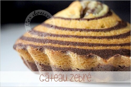 Gâteau_Zebré003