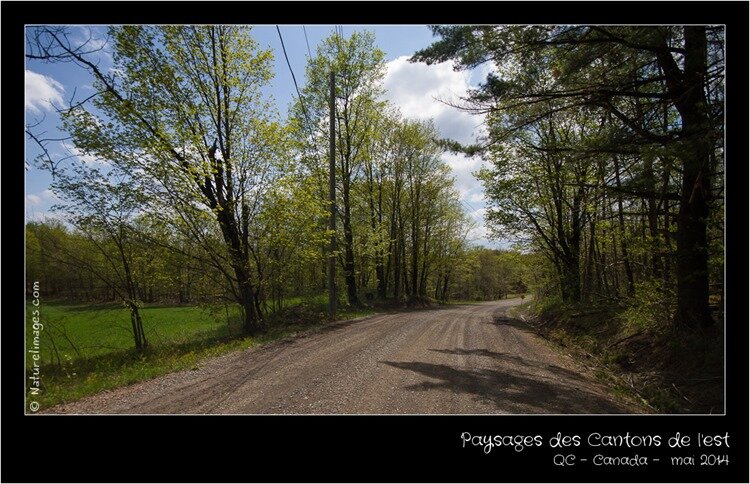 IMG_2565-naturelimages.com