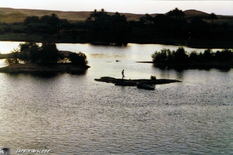 Paysage des bords du Nil