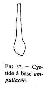 Joss 192 Fig 37