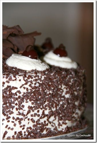 IMG_4690 IMG_4690