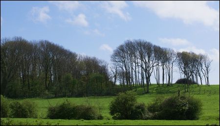 DSC03668