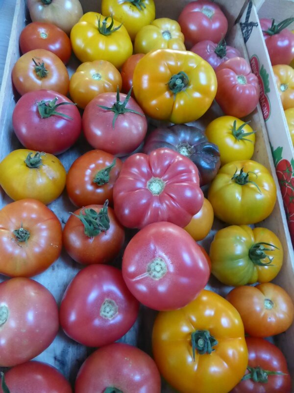 5-tomates (8)
