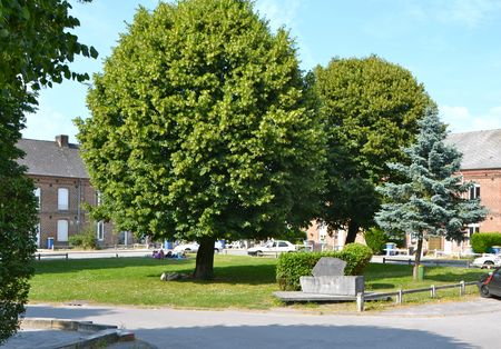 QUARTIER DE LA VERRERIE 2013 arbres