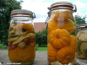 6776_Conserves_legumes