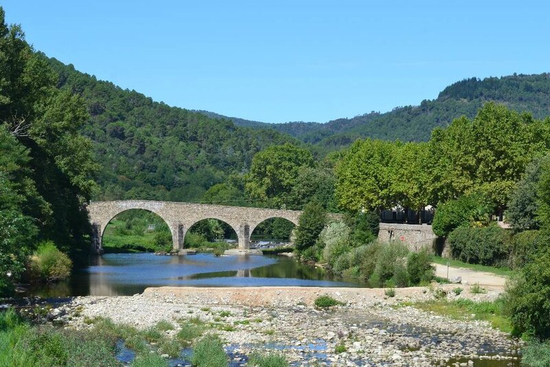 train a vapeur des cevennes (51)