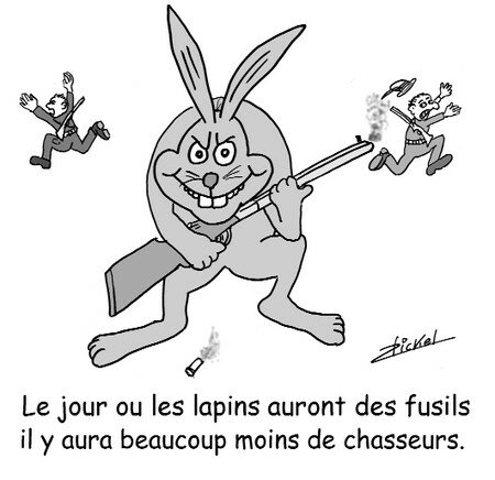 lapin_fusil_jpg