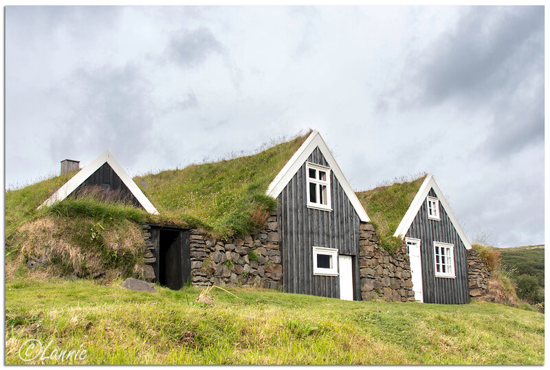 Islande (49) Ferme de Sel