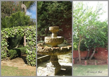 Jardin fontaine
