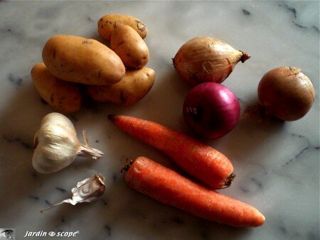 Lugumes_du_potager