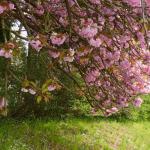 a a a printemps-002