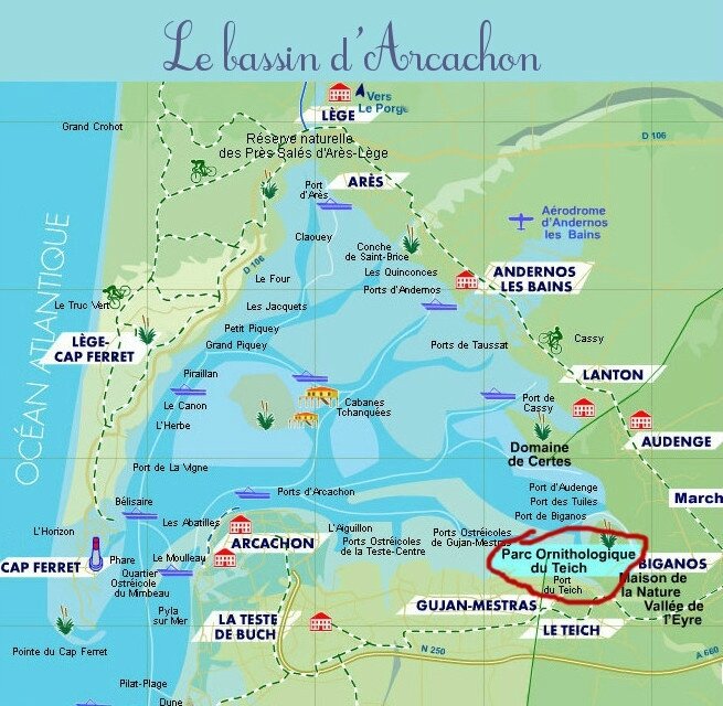 Carte-Bassin-Arcachon