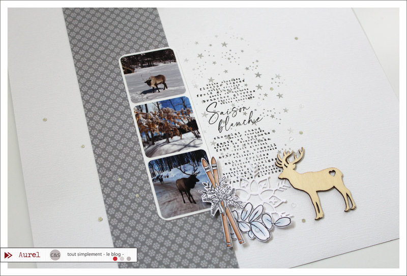 01 - 110121 - Page Saison blanche - Consignes Maryscrap #2