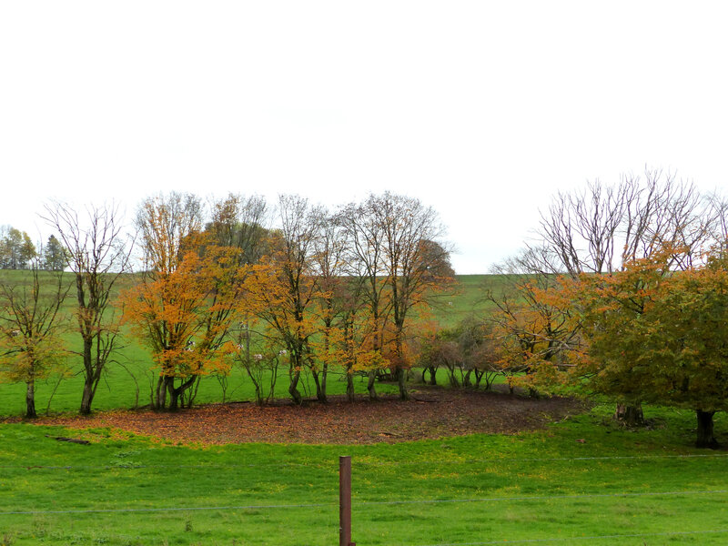 P1580984