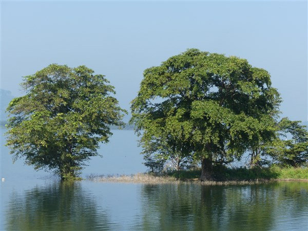 P1270676