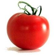tomate_ronde