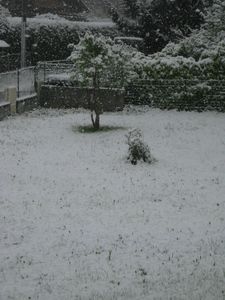 25052013 neige !! (9)