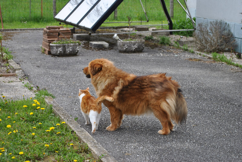 DSC_0017
