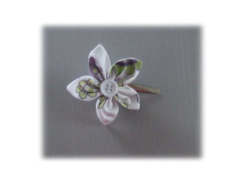 BARRETTE CROCO LILAS MULTI DEVANT1