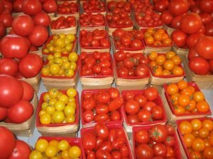 tomates_rouges_300