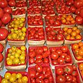  Tchinda Linda, 23, Invests In Lucrative Tomato Farming 