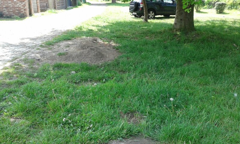 20150524_115638
