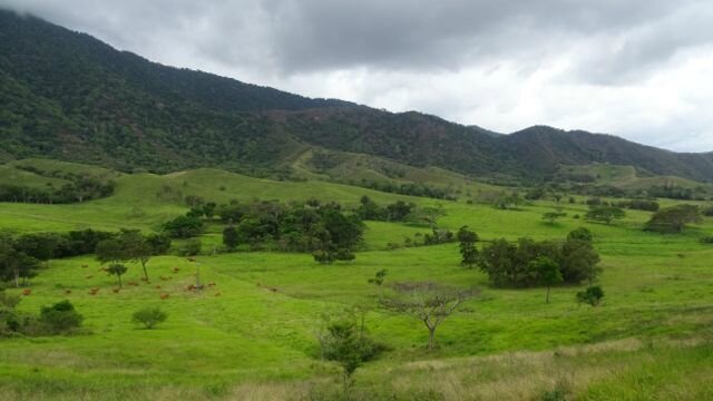 DSC02954