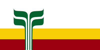 400px_Flag_of_the_Franco_Manitobains