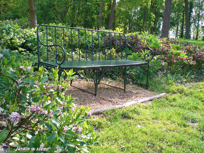 Banc devant un massif d'hellebores au château du Lude (72)