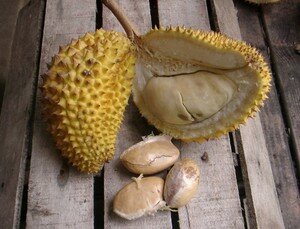 Durian