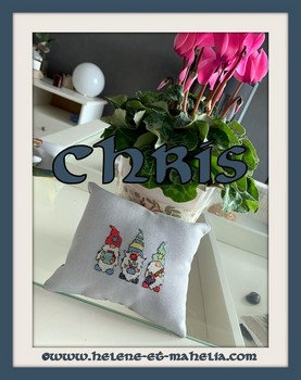 12 Chris_saljun22