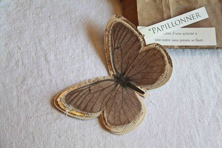 11papillon