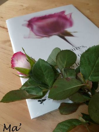 130427_libraire