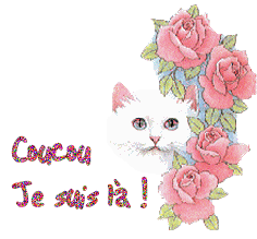 coucou5
