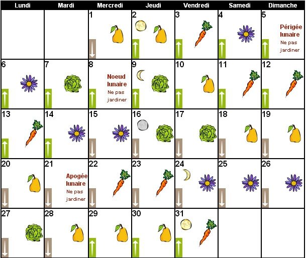 calendrier-lunaire-jardinage-juillet2015-jardiner-avec-la-lune