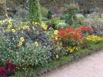 Jardin des Plantes