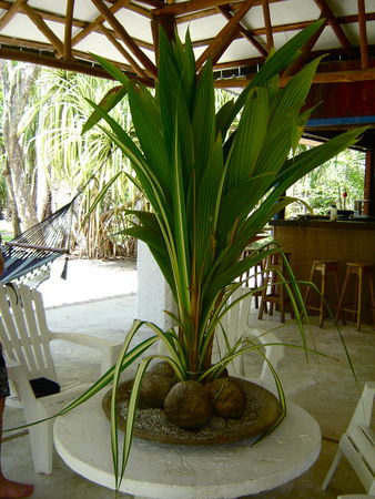 Febrero_2008_050